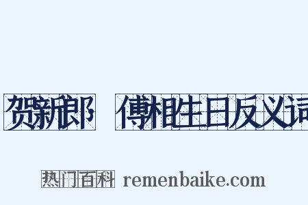 贺新郎·傅相生日反义词是什么意思的图片